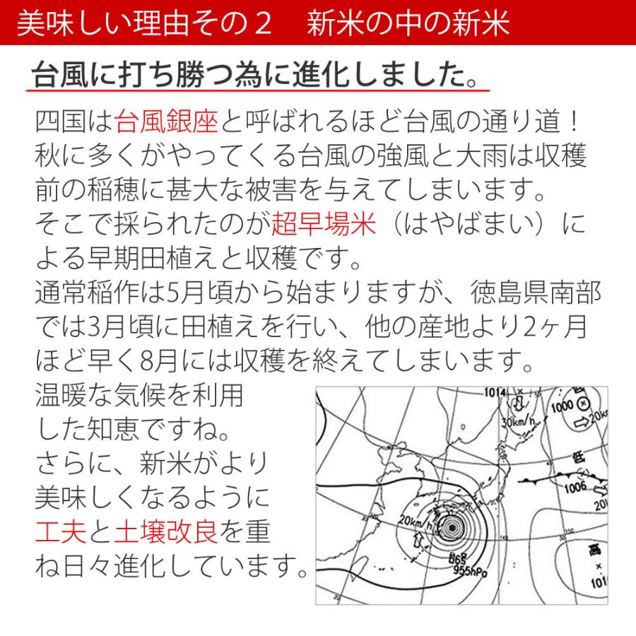 令和7年産 新米 5kg コシヒカリ 玄米/精米（白米）即納 農家自慢