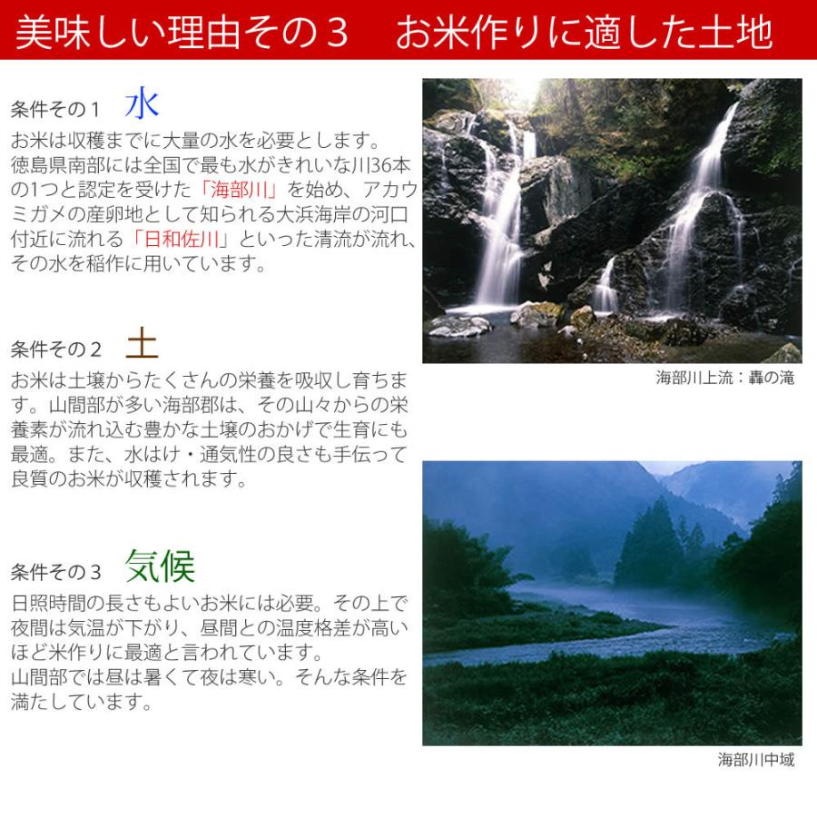 うみ 無農薬コシヒカリ玄米20kg(5kg×4)令和2年 徳島県産 Amazon.co.jp: 新米【精米】令和7年 徳島県産コシヒカリ 白米5kg
