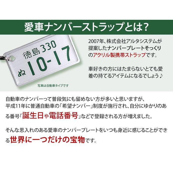 特許ナンバープレートキーホルダー 中型 大型バイク用 メール便 ネコポス 送料無料 誕生日プレゼント ギフト P30 F ありがとうわくわくの阿波の産直便 通販 Yahoo ショッピング