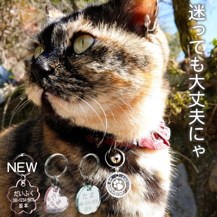 迷子札 猫 小型犬 ペット 名入れ 名前入り ネームタグ ネームプレート
