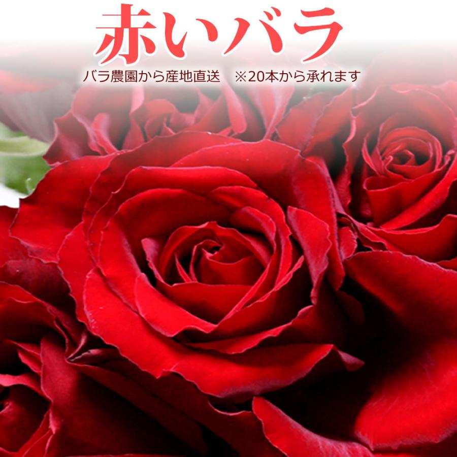 赤いバラ 50cm 1本 本以上 花束 トゲ取り無料 産地直送 宅配便発送 お祝い 記念日ギフト 誕生日プレゼント R01r40 010 ありがとうわくわくの阿波の産直便 通販 Yahoo ショッピング