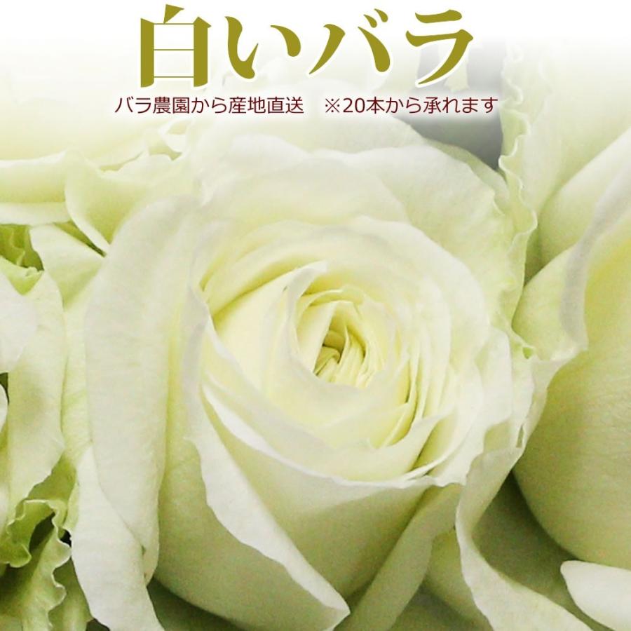 白いバラ 50cm 1本 本以上 花束 トゲ取り無料 産地直送 宅配便発送 お祝い 誕生日 プレゼント ホワイトデーに R05t40 010 ありがとうわくわくの阿波の産直便 通販 Yahoo ショッピング