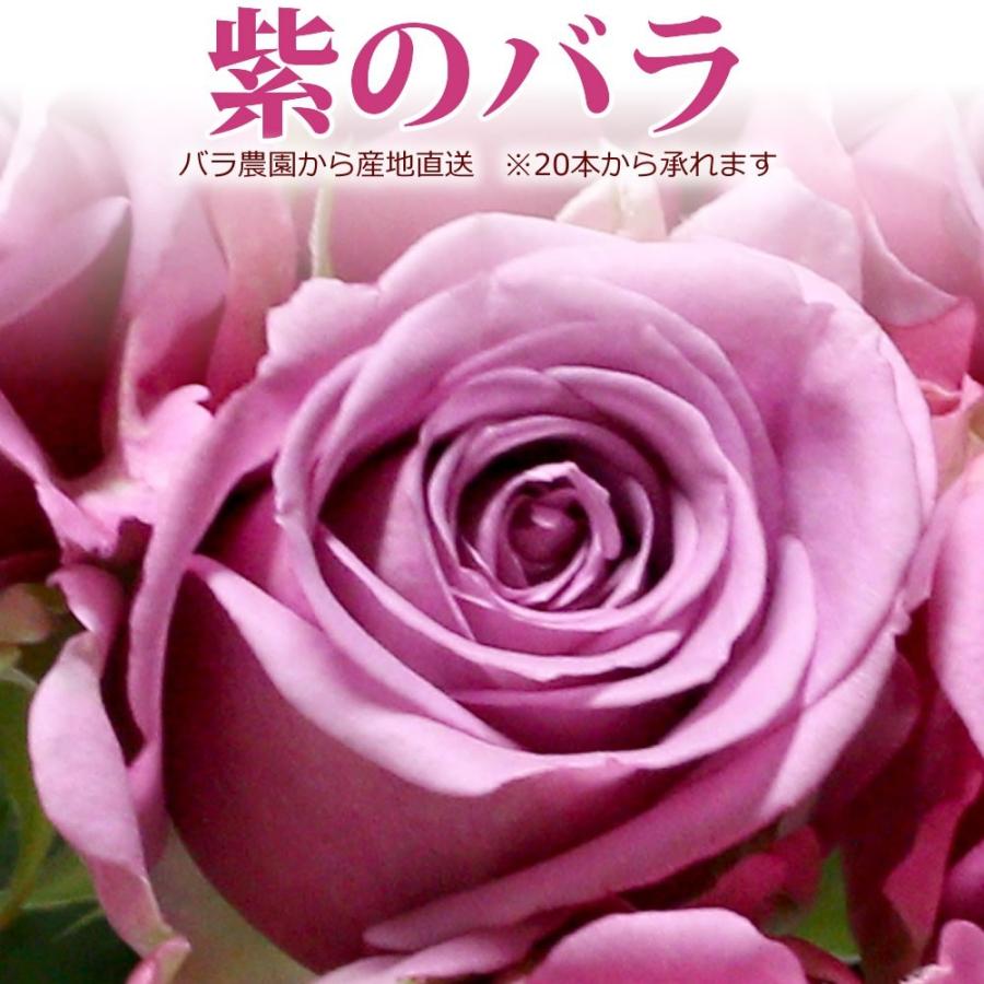 77歳の誕生日プレゼント 77本のバラの花束 紫 50cm 喜寿祝い 無料ラッピング 宅配便 全国送料無料 フラワーギフト R50 Kijyu ありがとうわくわくの阿波の産直便 通販 Yahoo ショッピング