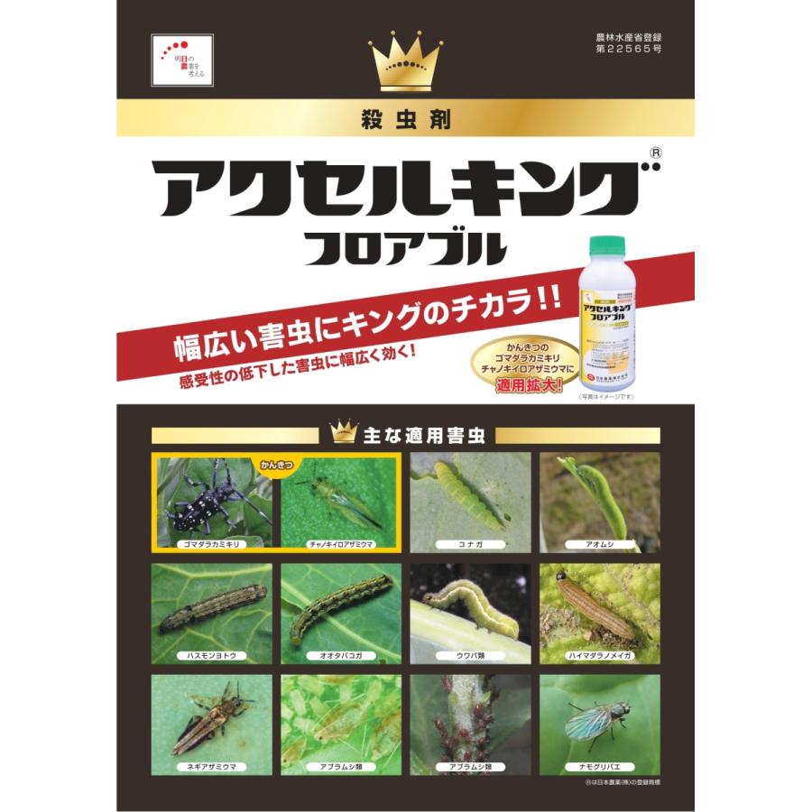 アクセルキングフロアブル 500ml 劇物 山東農園yahoo 店 通販 Yahoo ショッピング