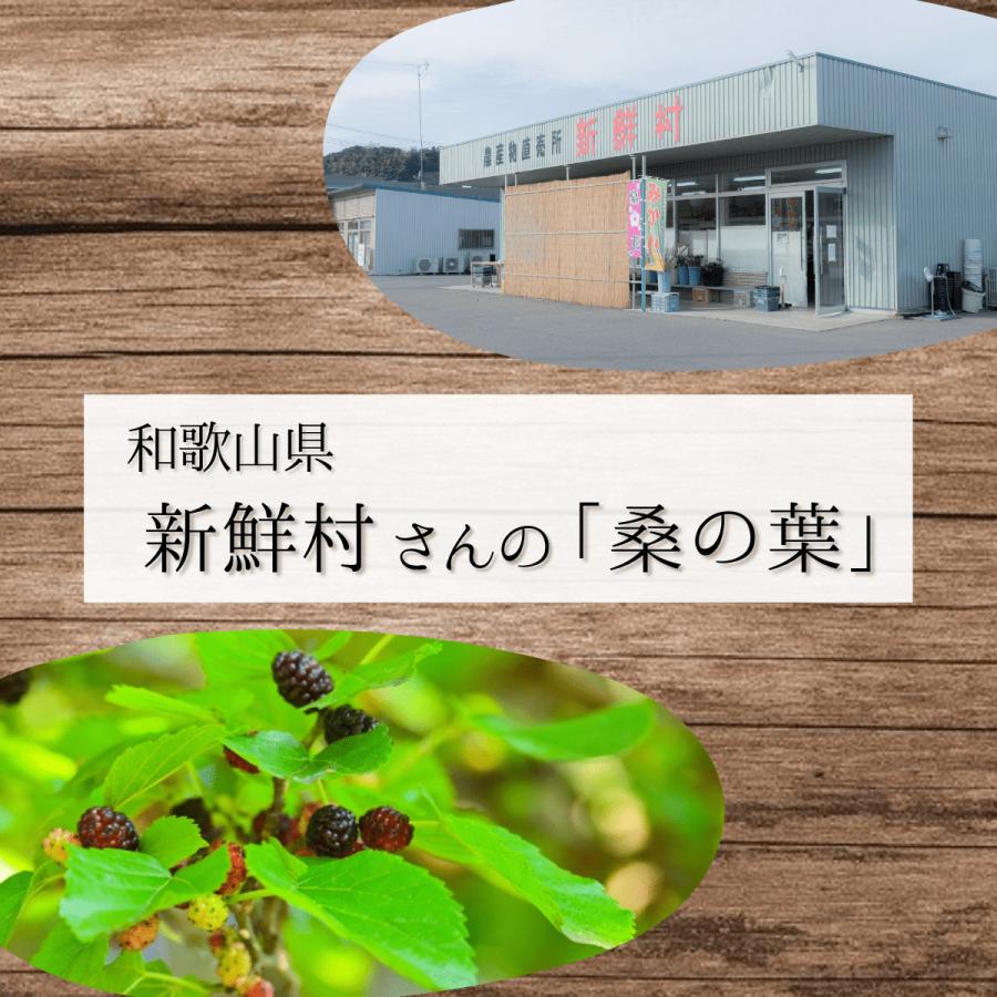 【送料無料】新鮮村の桑の葉茶2個セット(100g)｜sandounouen｜02