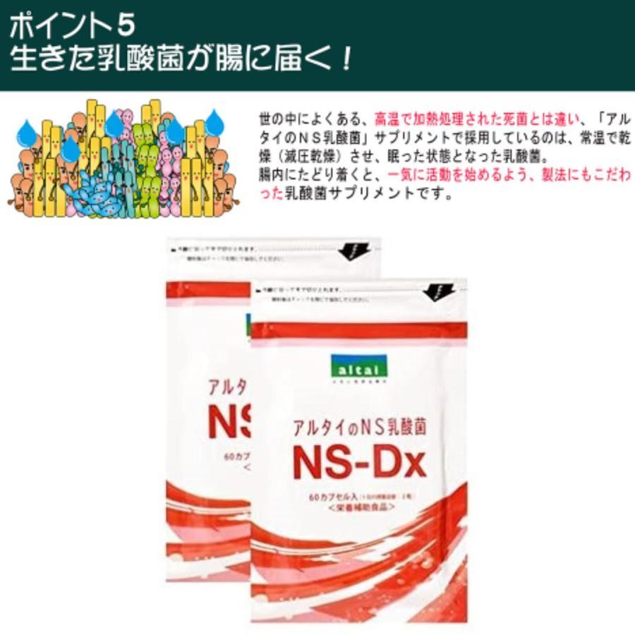 アルタイのNS乳酸菌「新NS-Dx」 : SandS-market - 通販 アルタイのNS乳酸菌「新NS-Dx」 : SandS-market - 通販