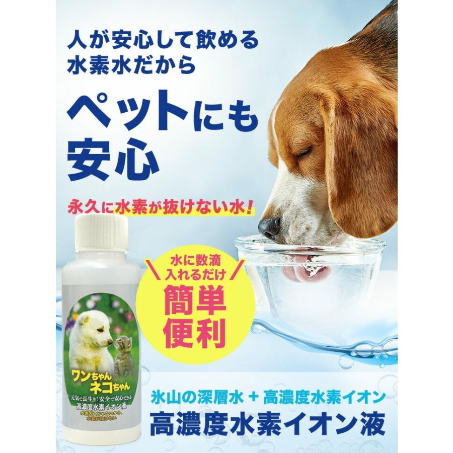 超高濃度水素イオン液【500ppm】100cc5本セット 送料無料 超濃縮タイプ