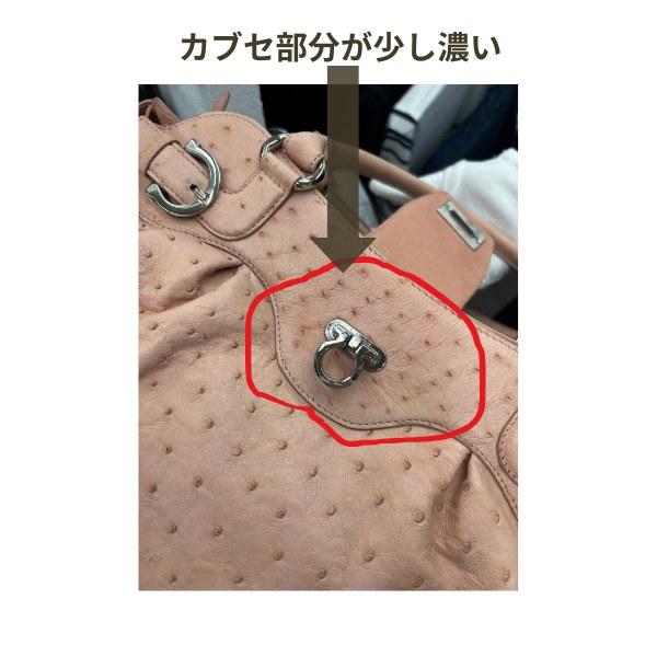 セカンドバッグ オーストリッチ　＜ostrich＞フルポイント　os-185の画像