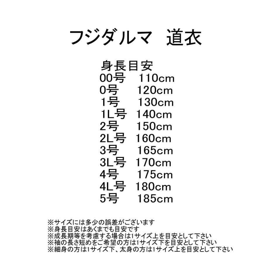 【お得な2点セット】【2025新作】安信商会 銀達磨Rev 藍染風ポリエステル 剣道衣 ・袴セット　-Silver Daruma-_5