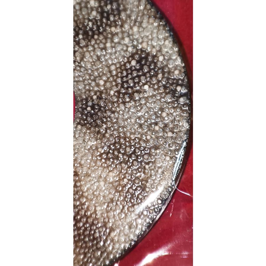 送料無料】高級 虎鮫鍔 天然革 贈答品 ツバ 革つば 剣道竹刀