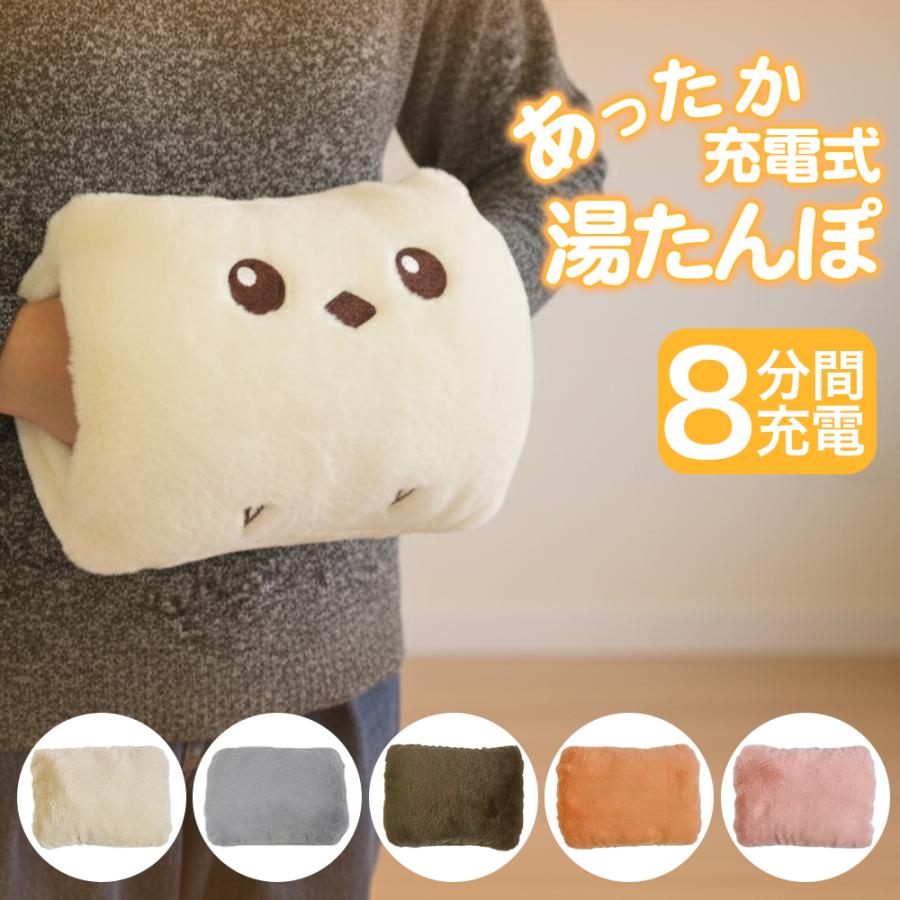 ファンヒーター 電気敷毛布、電気アンカ 充電湯タンポ 害虫駆除器 5点