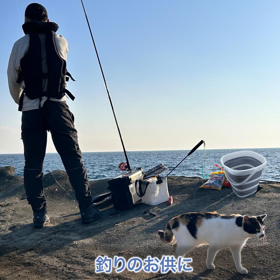 バケツ 折りたたみ 折り畳み おしゃれ 釣り シリコン 製 つけ 洗い 桶 ソフトバケツ 大容量 10L ソフト 掃除 洗車 釣り 防災 キャンプ ゴミ アウトドア【限定】 | ブランド登録なし | 05