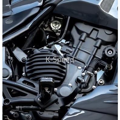 K-SPEED Diablo REBEL レブル 250, 300,500 用 RB0123 左右 エンジン 