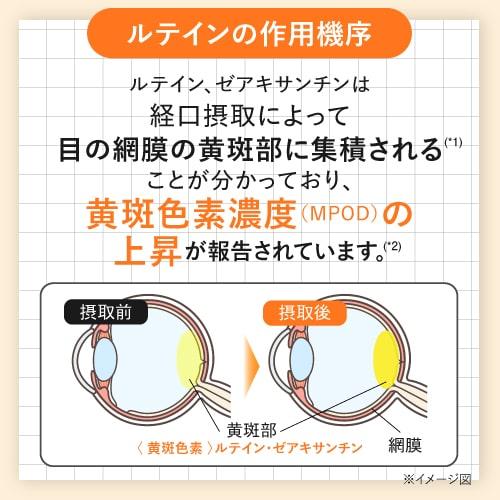 ルテイン 目のサプリ 機能性表示食品 ぼやけ かすみを緩和する 眼の疲労感軽減 ゼアキサンチン 約1ヶ月分 めがらく 31粒 | エクセレントメディカル | 07