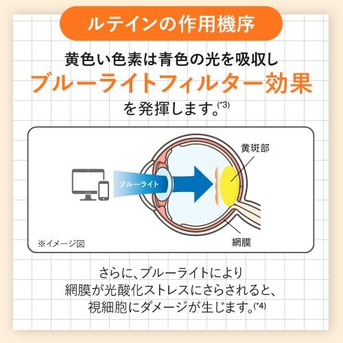 ルテイン 目のサプリ 機能性表示食品 ぼやけ かすみを緩和する 眼の疲労感軽減 ゼアキサンチン 約1ヶ月分 めがらく 31粒 | エクセレントメディカル | 08