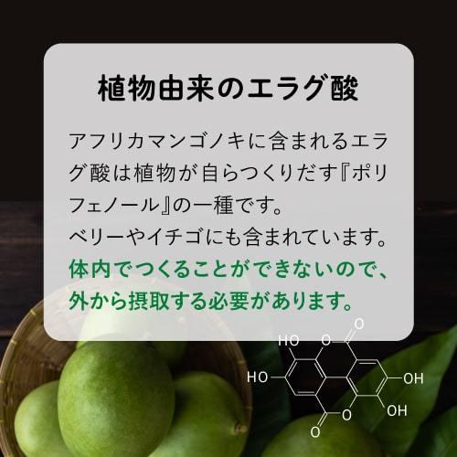 エラグ酸 サプリメント 体重・体脂肪・内臓脂肪の減少をサポート 機能性表示食品 医師監修 ナイナイシ 2袋 | エクセレントメディカル | 12