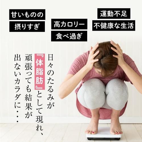 エラグ酸 サプリメント 体重・体脂肪・内臓脂肪の減少をサポート 機能性表示食品 医師監修 ナイナイシ 3袋 | エクセレントメディカル | 07
