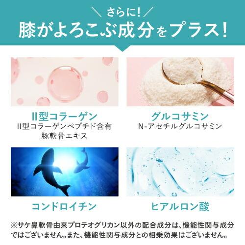 ひざ 関節 軟骨 の保護に役立つ プロテオグリカン サプリ 日常生活の膝の動きを改善 医師監修 機能性表示食品 潤ひざ 90粒 約1ヶ月分 | エクセレントメディカル | 12