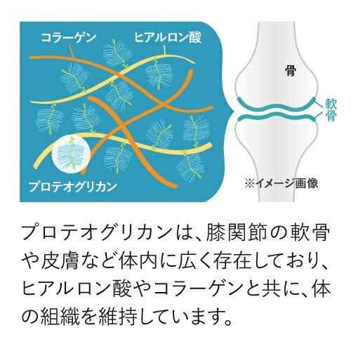 ひざ 関節 軟骨 の保護に役立つ プロテオグリカン サプリ 日常生活の膝の動きを改善 医師監修 機能性表示食品 潤ひざ 90粒 約1ヶ月分 | エクセレントメディカル | 07
