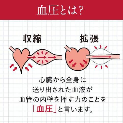 高めの 血圧 を下げる 事務的作業に伴う一時的な疲労感を緩和する 医師監修 機能性表示食品 サプリ 62粒 3袋セット 約3ヶ月分 GABA+ ギャバタス | エクセレントメディカル | 04