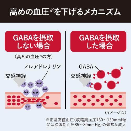 高めの 血圧 を下げる 事務的作業に伴う一時的な疲労感を緩和する 医師監修 機能性表示食品 サプリ 62粒 3袋セット 約3ヶ月分 GABA+ ギャバタス | エクセレントメディカル | 05
