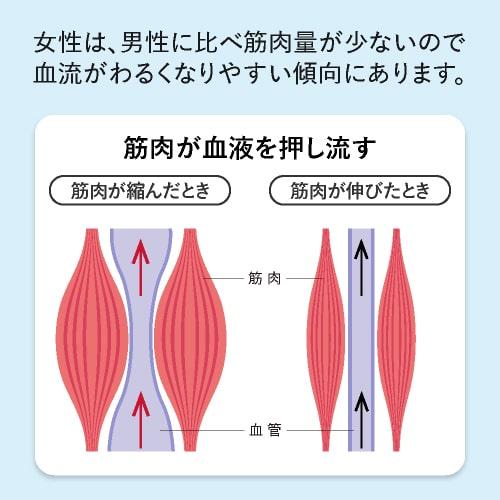 脚のむくみ 手の冷え を軽減 ヒハツ サプリ 医師監修 機能性表示食品 90粒 3袋セット 約2ヶ月分 カリウム マルチビタミン 配合 ヒハツエクセレントモア | エクセレントメディカル | 05