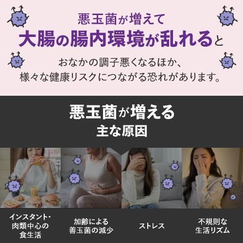 ビフィズス菌 BB536 100億個 生きたまま 腸まで届く 大腸 腸内環境 を改善 花粉 ホコリ ハウスダスト による鼻の不快感 軽減 ビフィプラス100 31粒 約1ケ月分｜sangakushop｜09