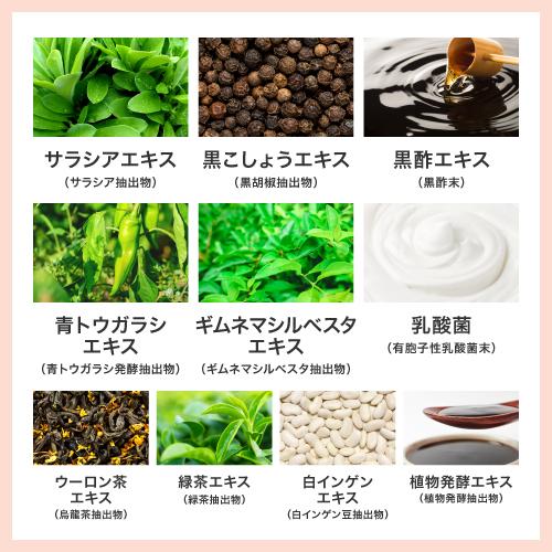 ブラックジンジャー サラシア 葛の花 由来 イソフラボン サプリ ウエストメンテ + ウエストリッチ葛の花 サプリメント 機能性表示食品 国産 橋本医師 推薦 | エクセレントメディカル | 17