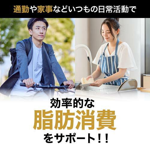 ターミナリアベリリカ ブラックジンジャー サプリメント ターミナリアガード 90粒 3袋 機能性表示食品 | エクセレントメディカル | 12