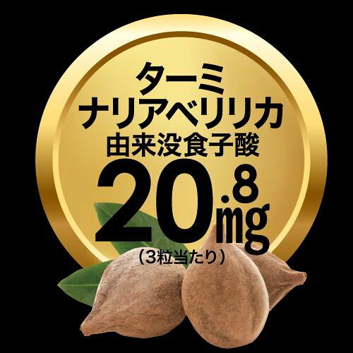 ターミナリアベリリカ ブラックジンジャー サプリメント ターミナリアガード 90粒 3袋 機能性表示食品 | エクセレントメディカル | 04