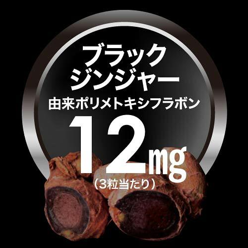 ターミナリアベリリカ ブラックジンジャー サプリメント ターミナリアガード 90粒 3袋 機能性表示食品 | エクセレントメディカル | 07