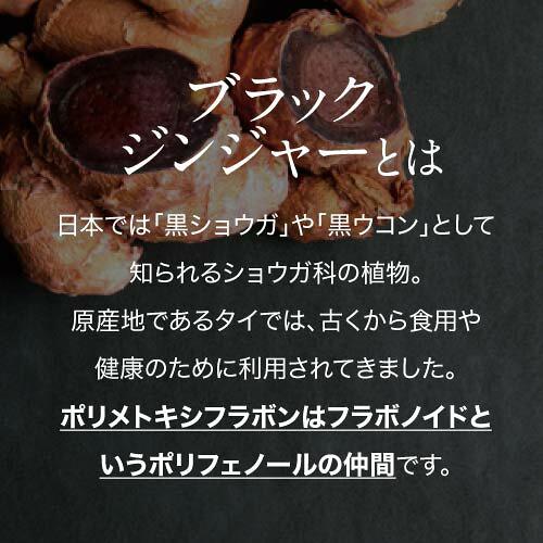 ターミナリアベリリカ ブラックジンジャー サプリメント ターミナリアガード 90粒 3袋 機能性表示食品 | エクセレントメディカル | 08