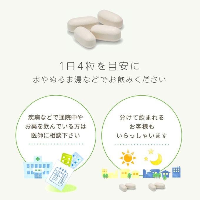 大塚製薬 エクエル パウチ 120粒×3袋 エクオール サプリ | エクエル | 06