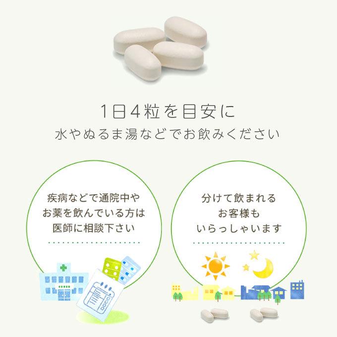エクエル パウチ 大塚製薬 120粒入 エクオール | エクエル | 06