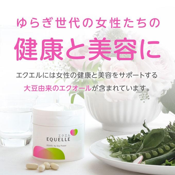 大塚製薬 エクエル パウチ 120粒 2袋 エクオール 大豆イソフラボン サプリ EQUELLE | エクエル | 02