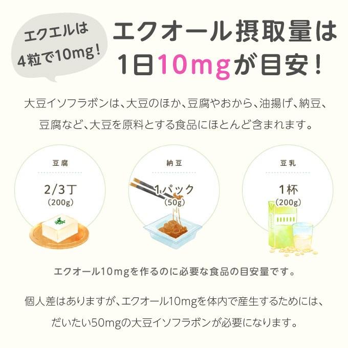 大塚製薬 エクエル パウチ 120粒 2袋 エクオール 大豆イソフラボン サプリ EQUELLE | エクエル | 04