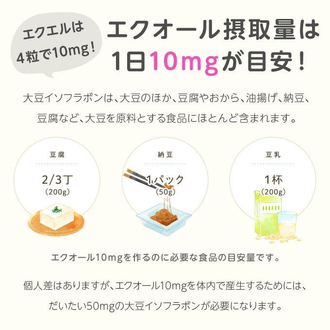 大塚製薬 エクエル 112粒 2個 ボトルタイプ エクオール | エクエル | 04
