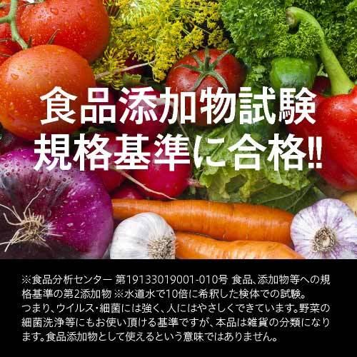 2.5L増量 500mlさらに増量中 合計13L 次亜塩素酸 バイバイ菌 500ppm 10L 次亜塩素酸水 | バイバイ菌 | 12