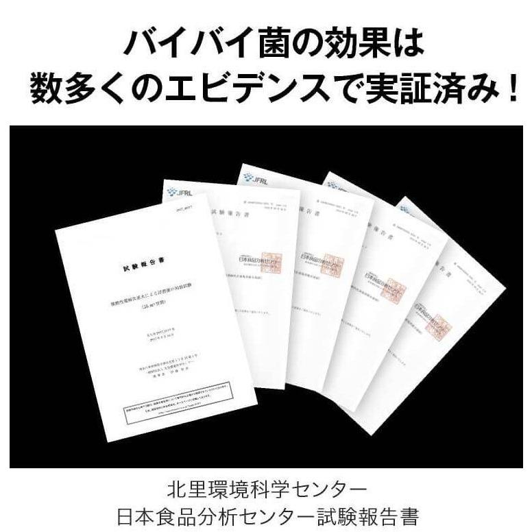 2.5L増量 500mlさらに増量中 合計13L 次亜塩素酸 バイバイ菌 500ppm 10L 次亜塩素酸水 | バイバイ菌 | 19