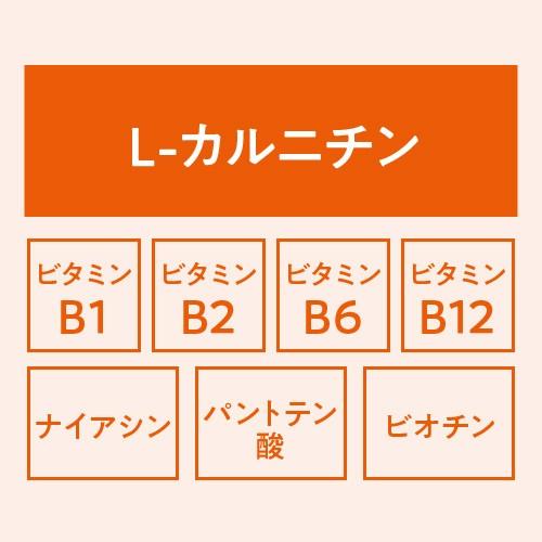 Lカルニチン 天然型 2.25ｇ×60包 2箱の画像
