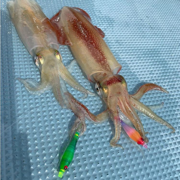 タグリグSSTB 直ブラ仕掛け マルイカ仕掛け 4本 ヤマシタ : サンゴ堂