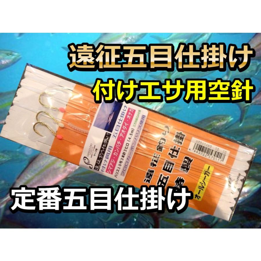 銭洲 八丈島遠征 付け餌五目仕掛け 10号３ヒロ Hayabusa Tukeesa10 3 サンゴ堂ヤフーショッピング店 通販 Yahoo ショッピング
