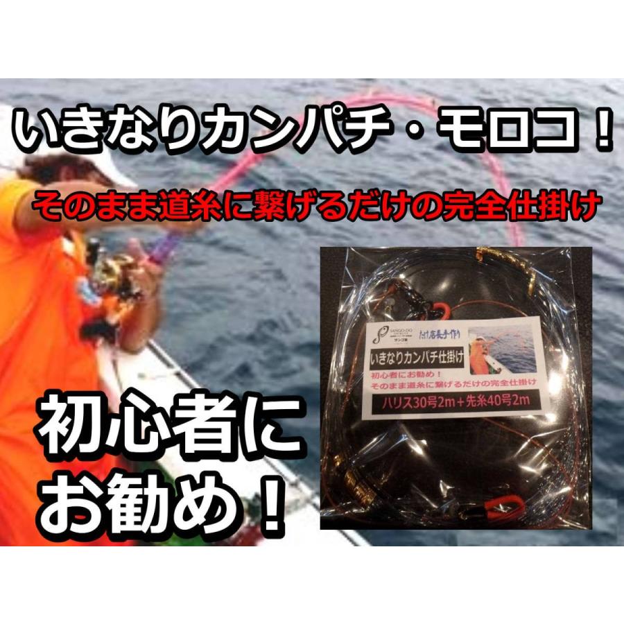いきなりカンパチ 泳がせ完全仕掛け ハリス３０号 先糸40号 たけ店長こだわりの手造り仕掛け カンパチ ヒラマサ ブリ クエ Ikinari30 サンゴ堂ヤフーショッピング店 通販 Yahoo ショッピング