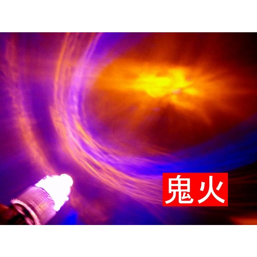 魚の敵　様　12本セット　ご検討中専用です。 Amazon | （国産金魚） 金魚セット（コメット＋朱文金 各1匹