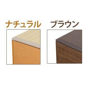横幅180 PP樹脂製畳 畳収納 ロータイプ 藤香 高床式畳収納の画像