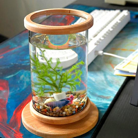 水槽 ミニ 円 おしゃれ ガラス水槽 アクアリウム 竹 小型 北欧 Acl 本棚 テレビ台 電話台のサンゴ 通販 Yahoo ショッピング