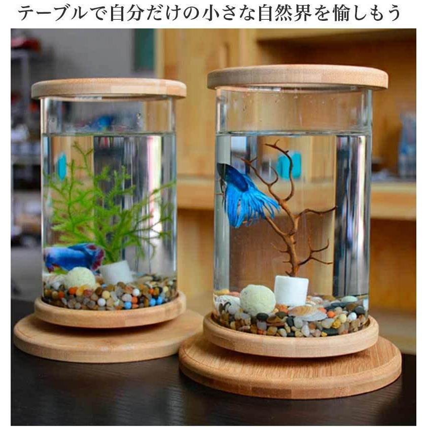 オールガラス円柱水槽　② 未使用 Amazon.co.jp: 透明な円柱水槽、卓上またはデスクトップディスプレイ用