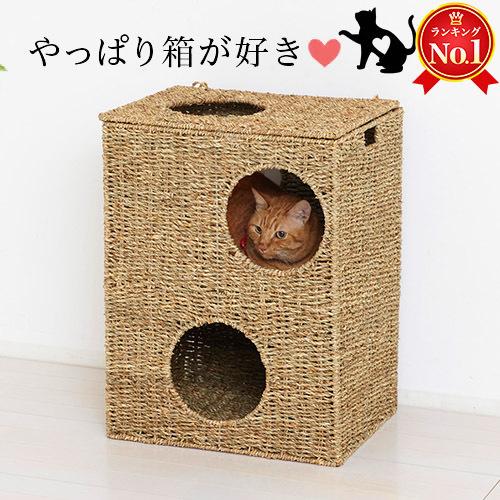 猫ちぐら 箱ボックス型 猫トンネル 猫ハウス 天然素材 猫つぐら カゴ籠｜sangostyle