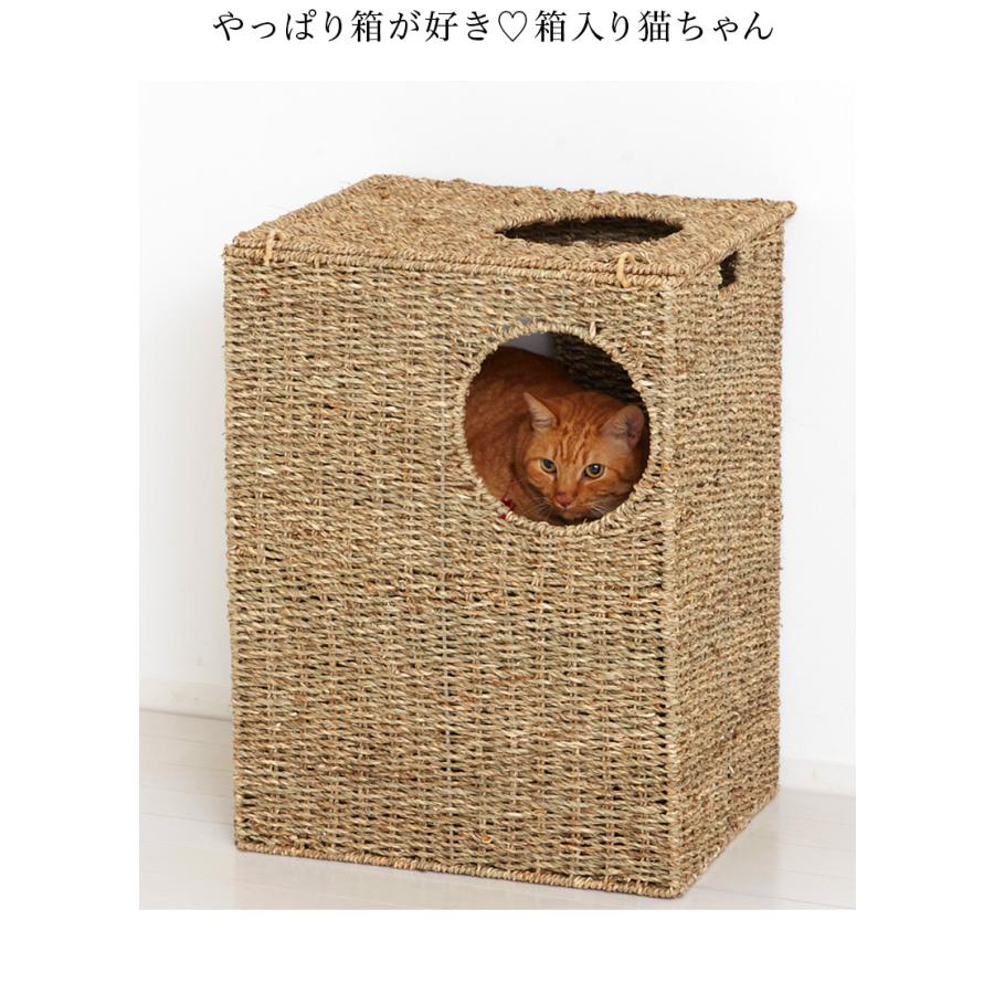 猫ちぐら 箱ボックス型 猫トンネル 猫ハウス 天然素材 猫つぐら カゴ籠｜sangostyle｜10