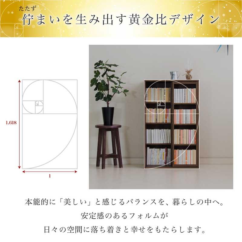 スライド本棚 全段B6 幅60cm 2台セット シングルスライド 本棚 スリム